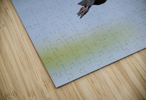 DSC08049 Edit 2 Razak Photography puzzle