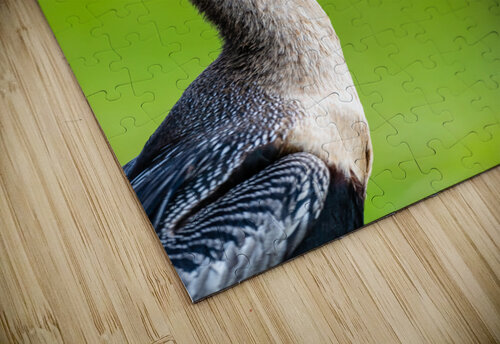 DSC02874 Edit Razak Photography puzzle