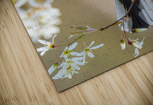 DSC05321 Edit 4 Razak Photography puzzle