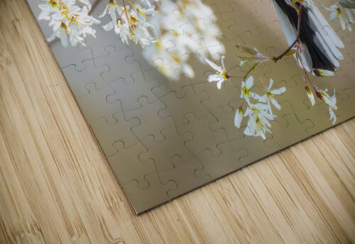 DSC05321 Edit 2 Razak Photography puzzle