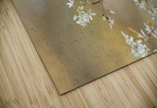 DSC04997 Edit Razak Photography puzzle