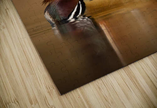 DSC08824 Edit 2 3 Razak Photography puzzle