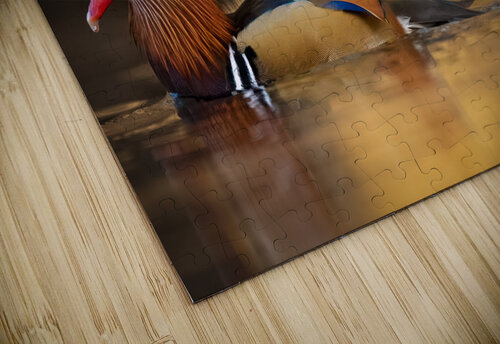 DSC05652 Edit 6 Razak Photography puzzle