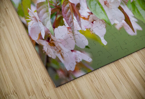 DSC00088 Edit Razak Photography puzzle