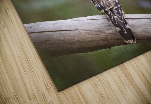 DSC01923 Edit Razak Photography puzzle