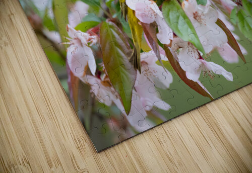 DSC00104 Edit Razak Photography puzzle