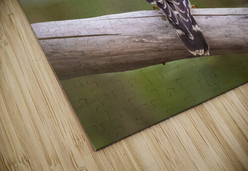 DSC01914 Edit Razak Photography puzzle