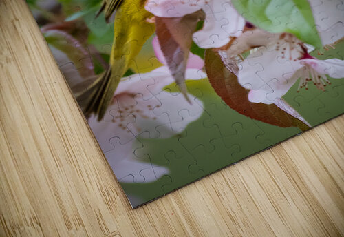DSC00104 Edit 4 Razak Photography puzzle