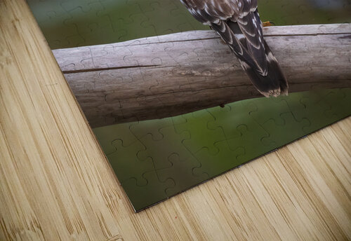 DSC01972 Edit 2 Razak Photography puzzle