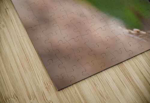DSC02911 Edit Razak Photography puzzle