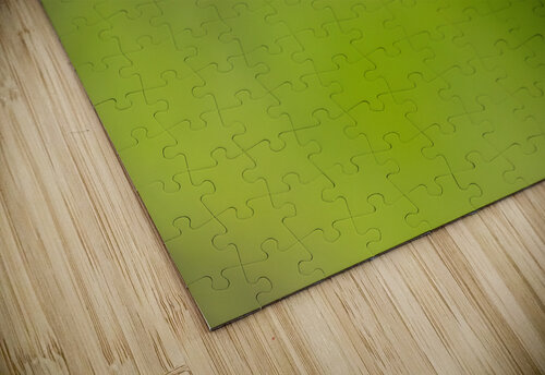 DSC00103 Edit Razak Photography puzzle