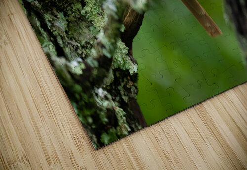 DSC01299 Edit 2 Razak Photography puzzle