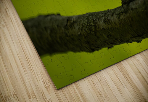 DSC04607 Edit Razak Photography puzzle