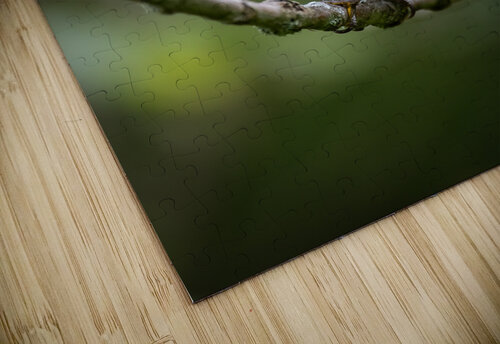 DSC08583 Edit 4 Razak Photography puzzle