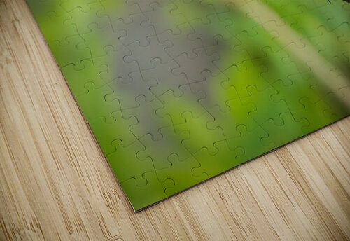 DSC06905 Edit Razak Photography puzzle