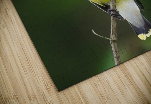 DSC08781 Edit 3 Razak Photography puzzle