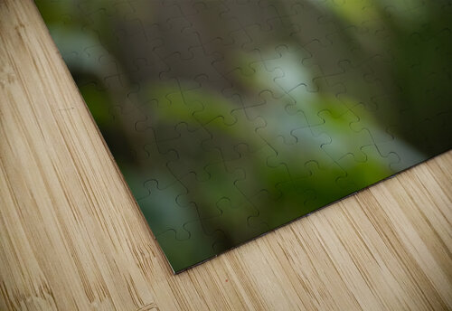 DSC08583 Edit 3 Razak Photography puzzle