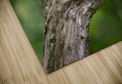 DSC08052 Edit Razak Photography puzzle