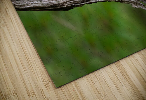DSC05957 Edit 2 Razak Photography puzzle