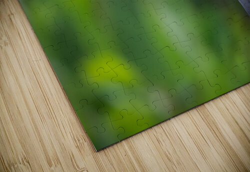 DSC09205 Edit 2 Razak Photography puzzle