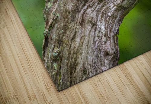 DSC08146 Edit Razak Photography puzzle