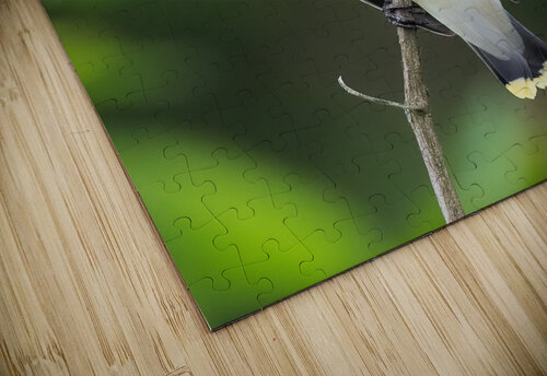 DSC08749 Edit 3 Razak Photography puzzle