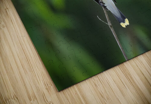 DSC08792 Edit Razak Photography puzzle