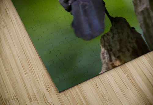 DSC01145 Edit 4 Razak Photography puzzle