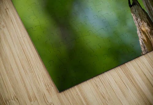 DSC01174 Edit Razak Photography puzzle