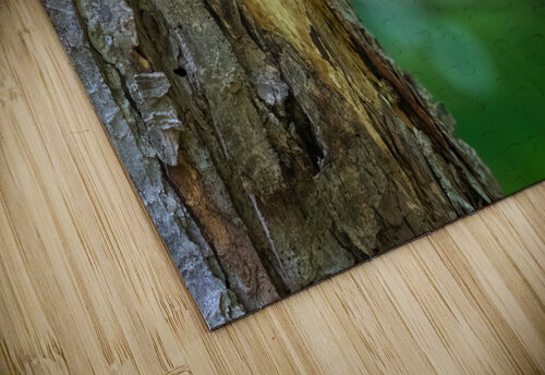 DSC00426 Edit Razak Photography puzzle