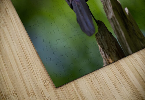 DSC01145 Edit Razak Photography puzzle