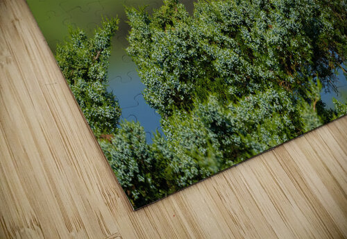 DSC09834 Edit Razak Photography puzzle