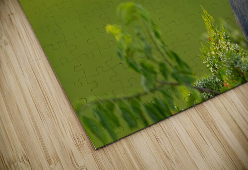 DSC06084 Edit Razak Photography puzzle