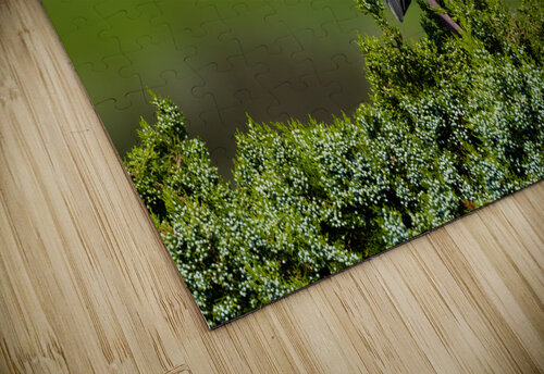 DSC00122 Edit Razak Photography puzzle