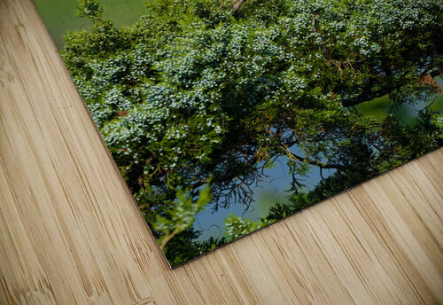 DSC00305 Edit 4 Razak Photography puzzle