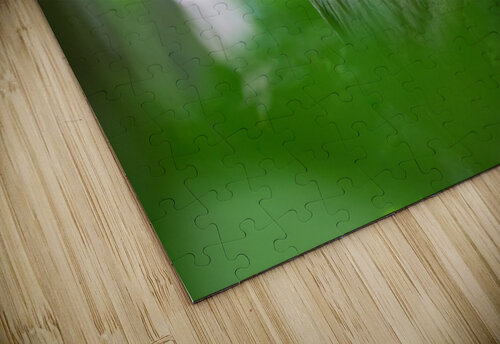 DSC09967 Edit 2 Razak Photography puzzle