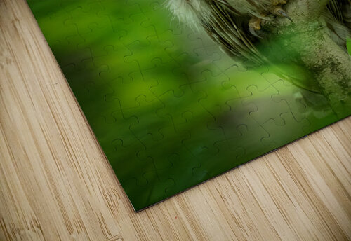 DSC00735 Edit 2 Razak Photography puzzle
