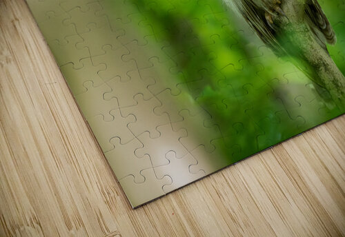 DSC00735 Edit Razak Photography puzzle