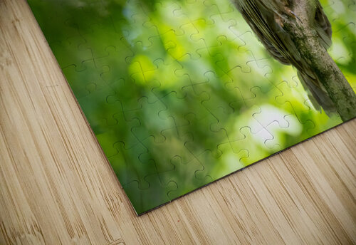 DSC00512 Edit 2 Razak Photography puzzle