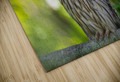 DSC07812 Edit Razak Photography puzzle