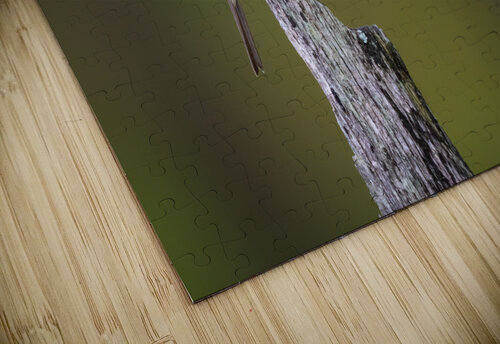 DSC09995 Edit 2 Razak Photography puzzle