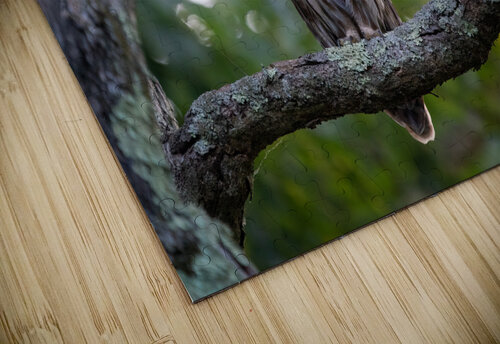 DSC06983 Edit Razak Photography puzzle