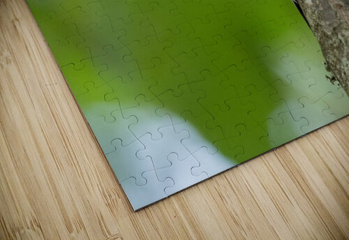 DSC00141 Edit Razak Photography puzzle