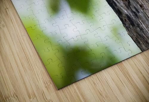 DSC00231 Edit Razak Photography puzzle