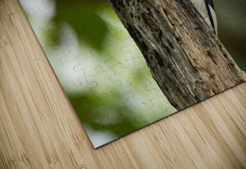 DSC00176 Edit Razak Photography puzzle