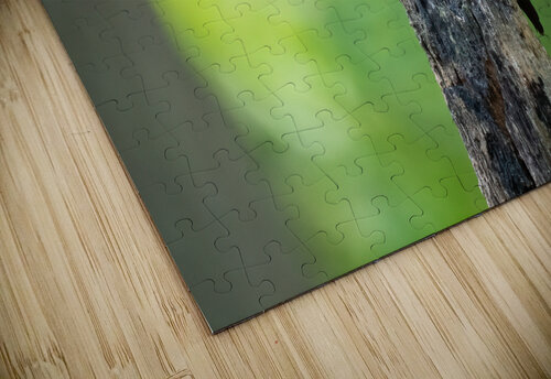 DSC01745 Edit Razak Photography puzzle