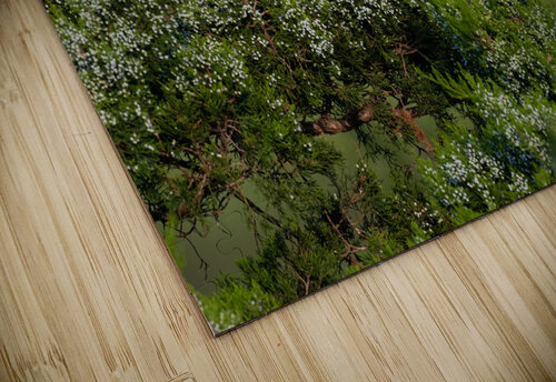 DSC09375 Edit 2 Razak Photography puzzle