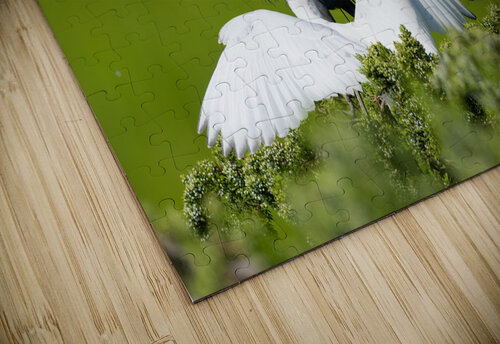 DSC03029 Edit 2 Razak Photography puzzle