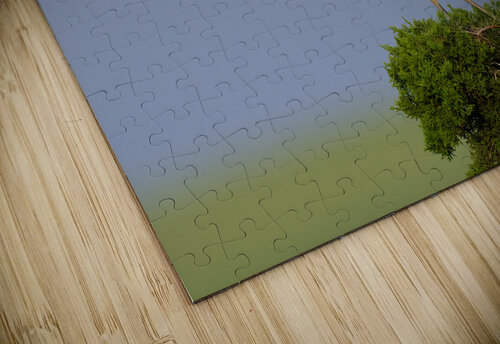 DSC08597 Edit Razak Photography puzzle