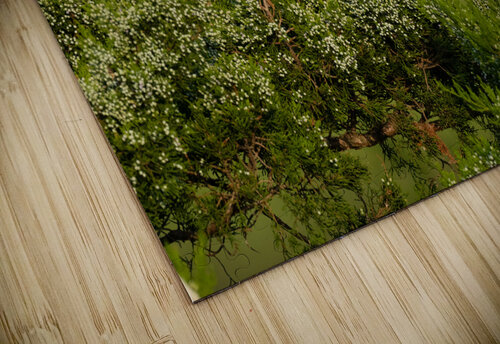DSC09374 Edit 2 Razak Photography puzzle